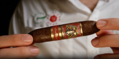 Foundation Cigars The Wise Man Cigar Review – Video Recap | My Cigar Pack