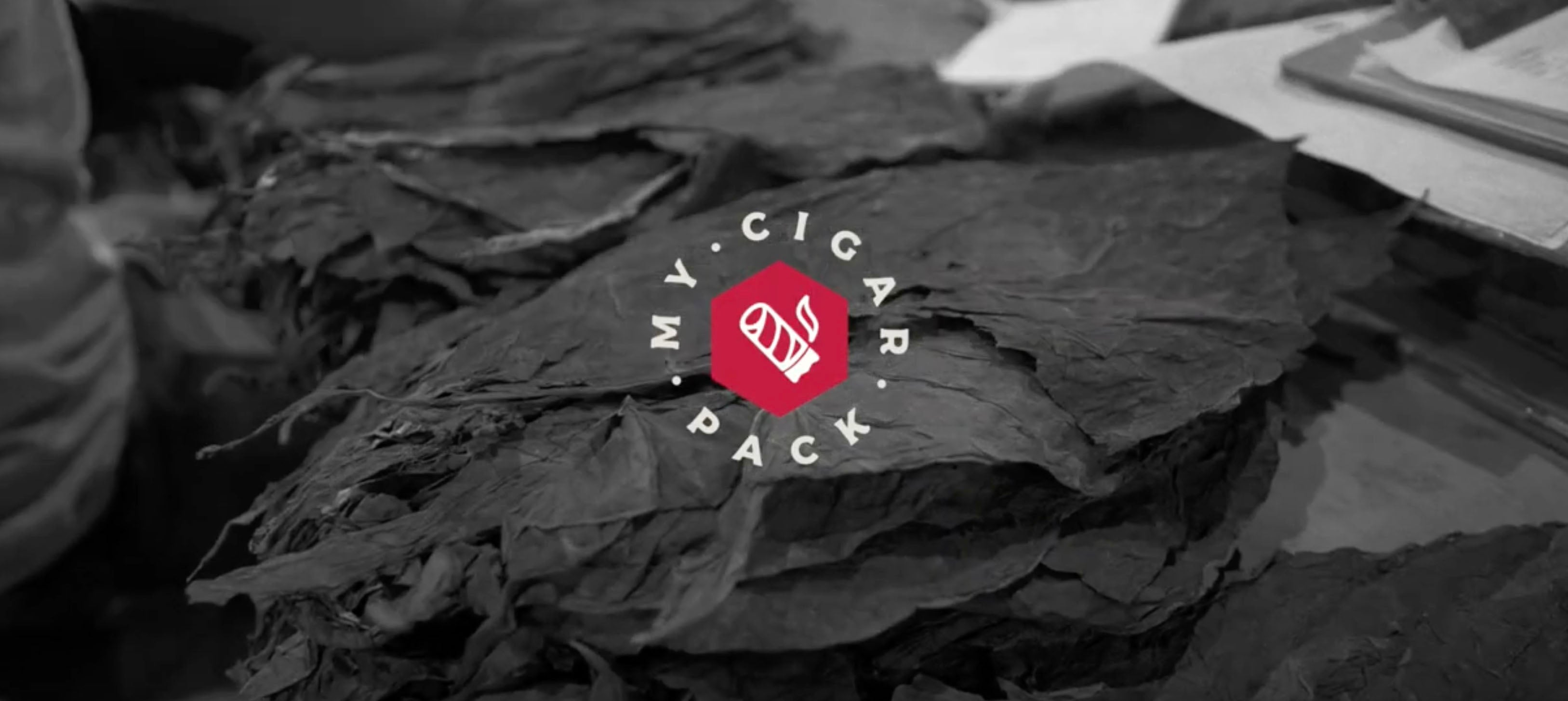 THE GOLDEN HOUR - MY CIGAR PACK FACTORY DIRECT VOL. X | My Cigar Pack