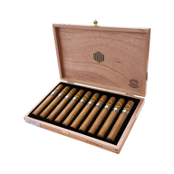 Warped La Colmena 10th Anniversary Amado