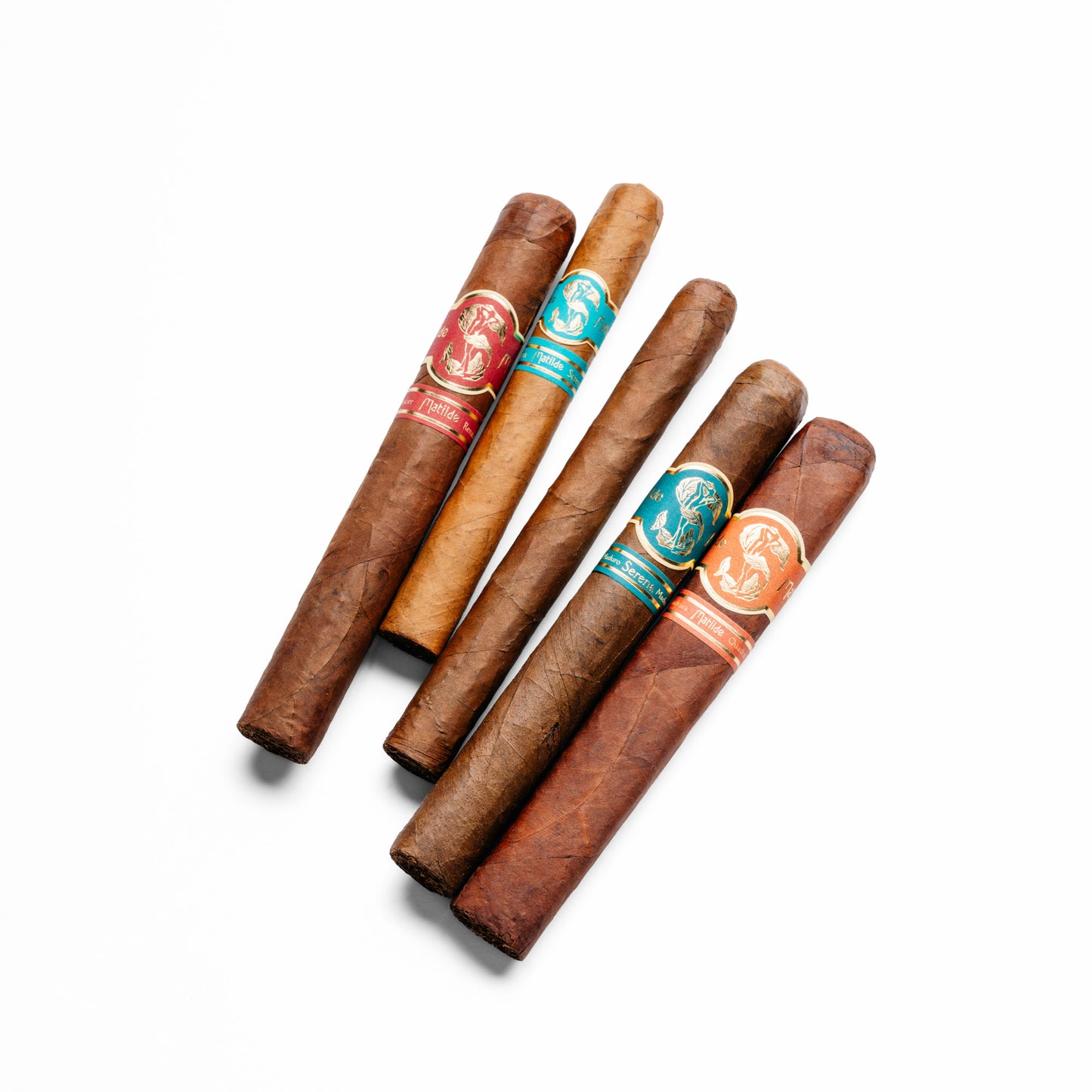 AUGUST MCP CLASSIC SAMPLER
