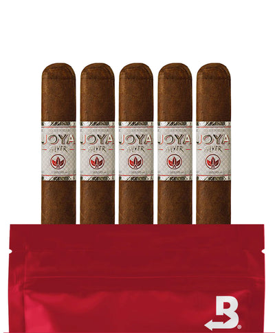 JOYA DE NICARAGUA JOYA SILVER ROBUSTO