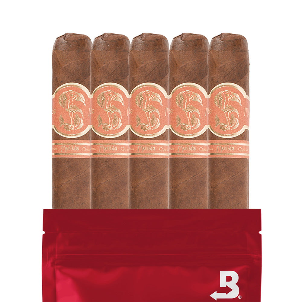 MATILDE QUADRATA TORO BRAVO