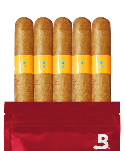 PATORO SERIE P CHURCHILL